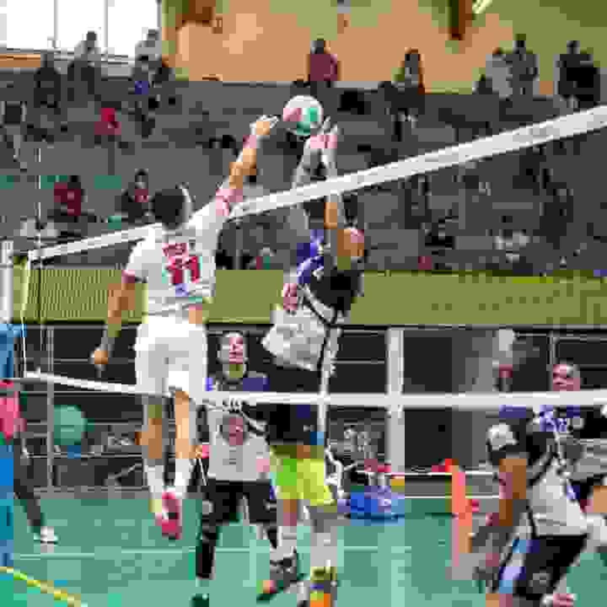 SUERTE DISPAR PARA LOS EQUIPOS DE S&Uacute;PERLIGA 2 DEL CLUB VOLEIBOL PLAYAS DE BENIDORM.