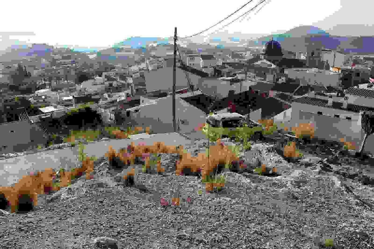 Callosa &middot; La zona verde de la Almedia se convertir&aacute; en un espacio de esparcimiento y recreo