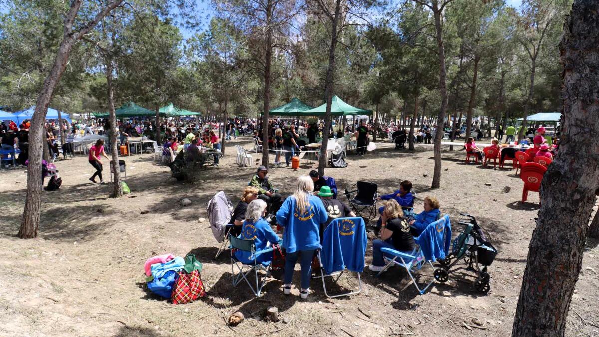Los pe&ntilde;istas de Benidorm celebran este domingo el &lsquo;Dia de la Mona&rsquo; en el Parc de la S&eacute;quia Mare