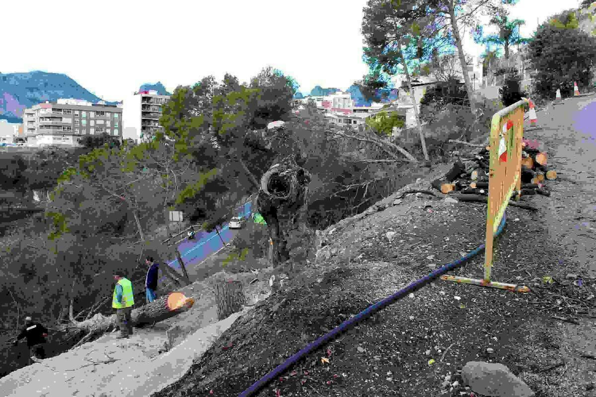 Callosa &middot; Urbanismo inicia las obras de reparaci&oacute;n del Cam&iacute; de la Casilla