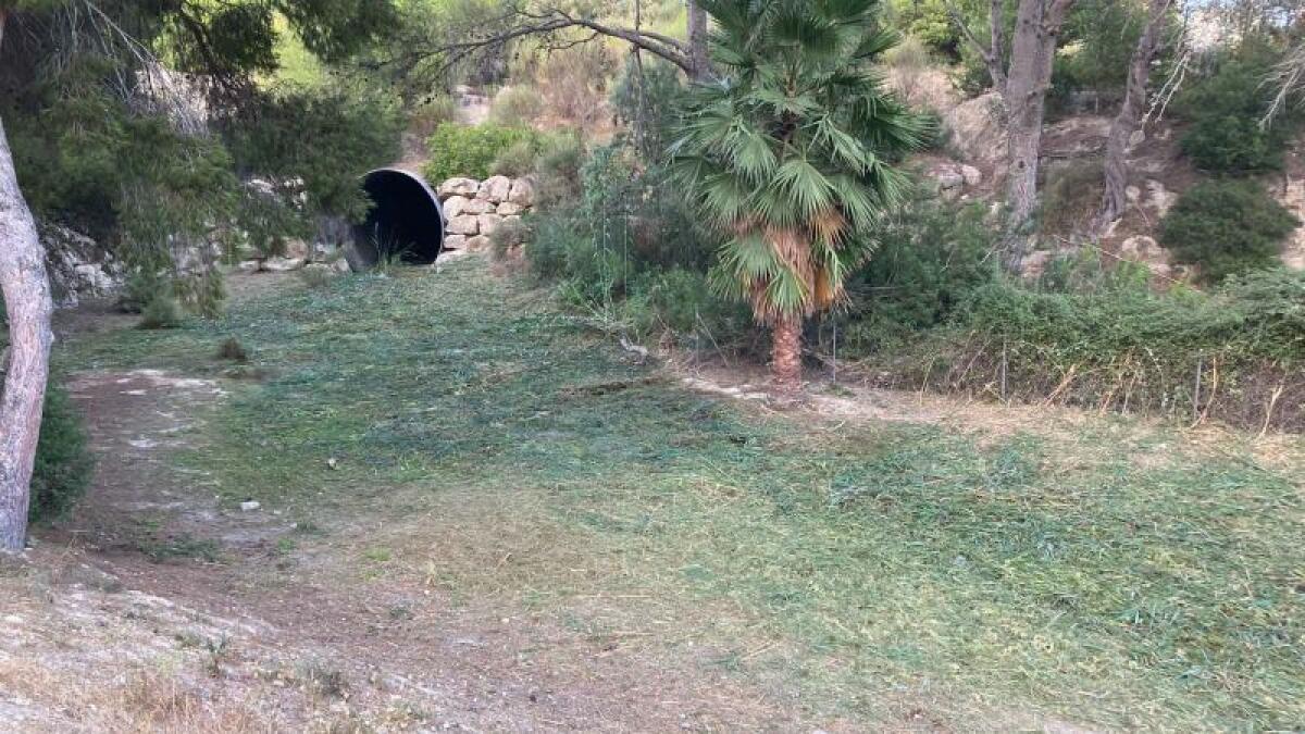 Benidorm acomete la limpieza de los tramos urbanos de los barrancos para minimizar los efectos de posibles lluvias torrenciales