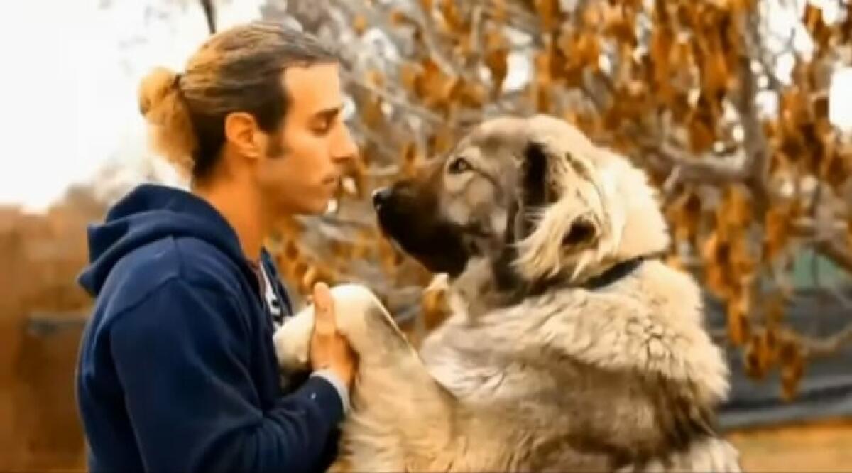 Borja Capponi: &ldquo;Todo en el perro se basa en el genotipo del temperamento, lo dem&aacute;s son cuentos chinos&rdquo;