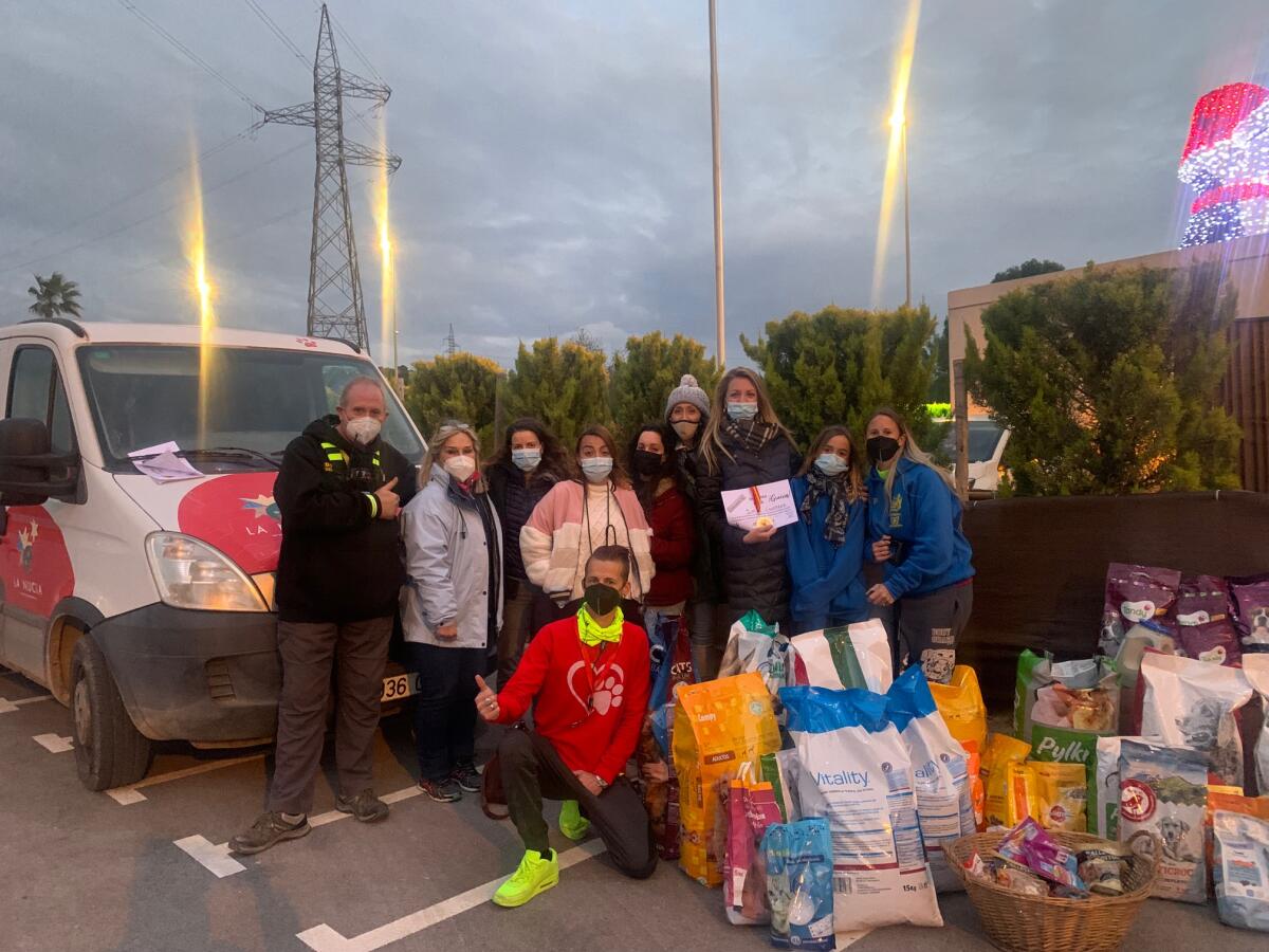 El “Car Show solidario” a beneficio de la Protectora de Animales reunió 400 coches 