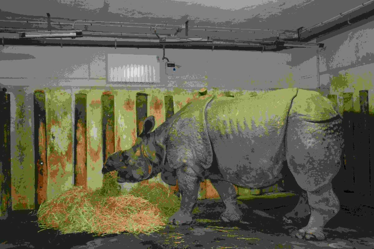 Las especies de Terra Natura Benidorm combaten el fr&iacute;o con papillas calientes y calefactores