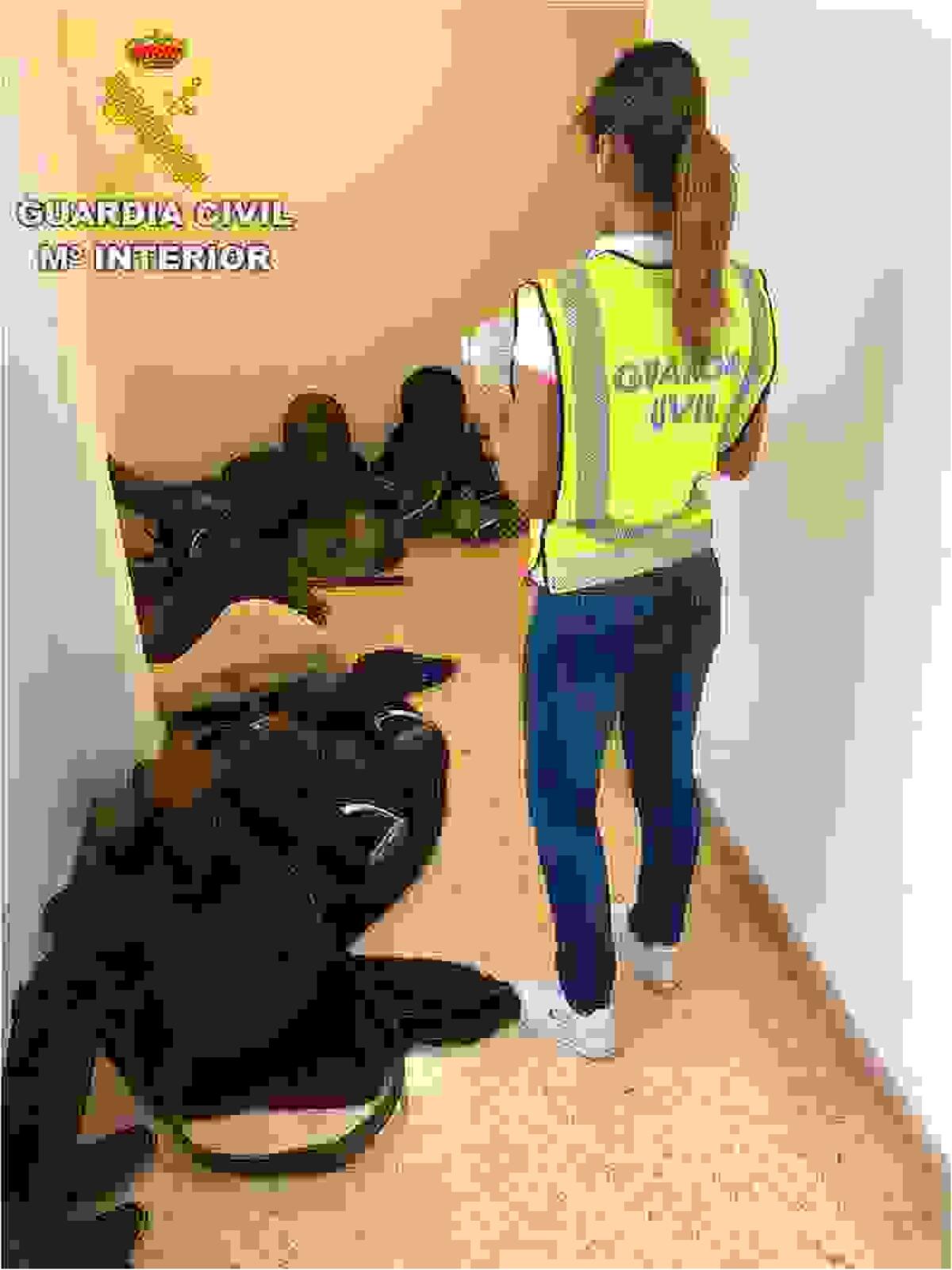 La Guardia Civil detiene en Altea a dos hombres por sustraer 12.000 euros en material de h&iacute;pica y envenenar al perro que custodiaba el centro