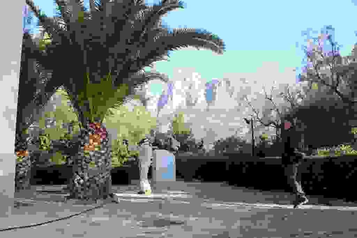 Las brigadas municipales de Finestrat trabajan en la fumigaci&oacute;n de la procesionaria del pino y el picudo en las zonas verdes municipales 