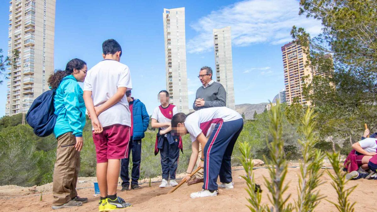 Un centenar de alumnos de El Murtal y de Ntra. Sra. de los Dolores participan en el Día del Árbol de Benidorm