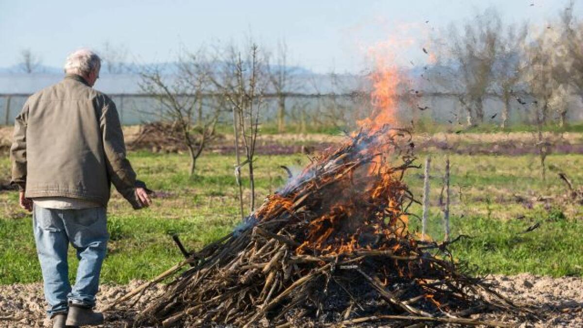 Agricultura abre el período de solicitud de autorizaciones de actividades con fuego de restos agrícolas para este invierno