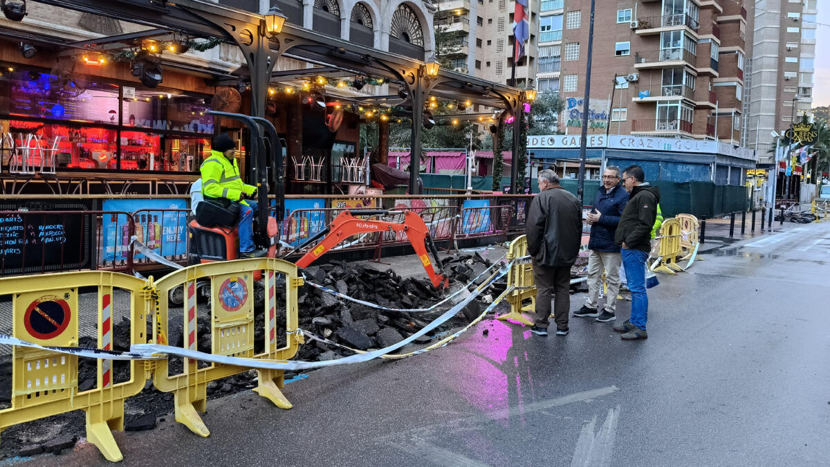 Estas intervenciones se enmarcan en el proyecto &lsquo;Benidorm Verde y Agua&rsquo;, apoyado por la Fundaci&oacute;n Biodiversidad