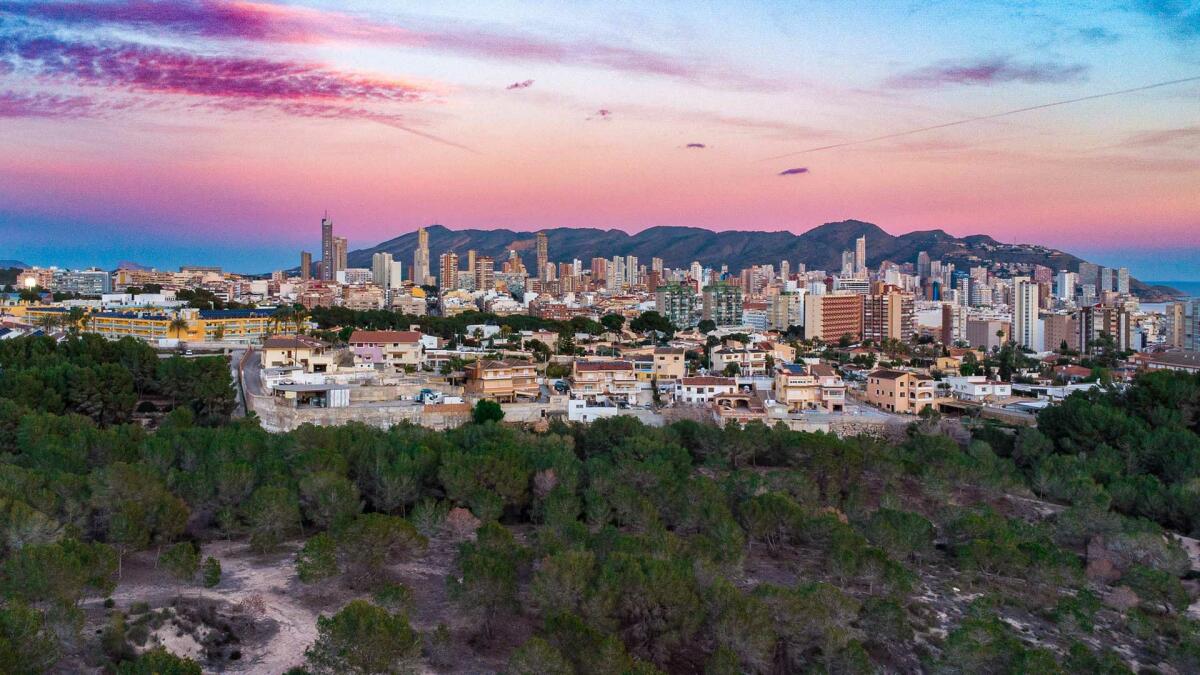 Benidorm organiza en este trimestre un amplio programa de actividades ambientales en los parques urbanos de la ciudad 