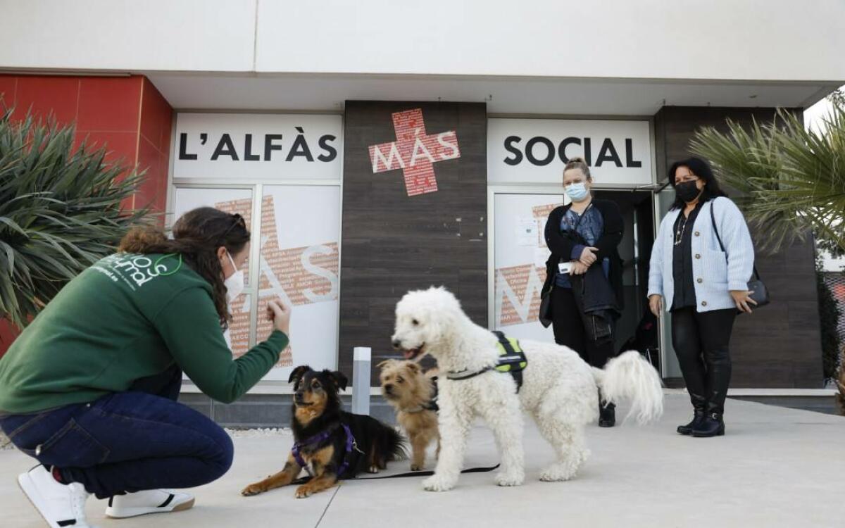 L’Alfàs emprende una nueva edición del programa formativo inclusivo ‘Edukadogs’