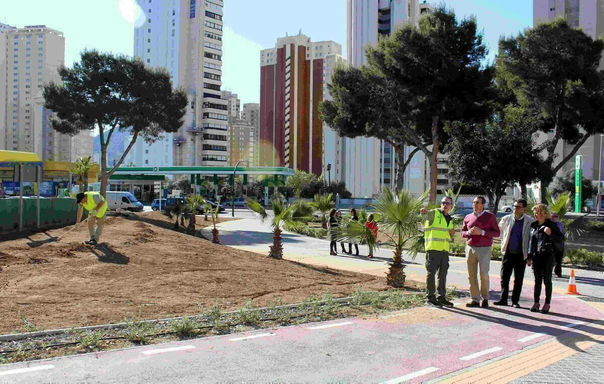 Benidorm &middot; Los alumnos de Jardiner&iacute;a del Taller de Empleo Benidorm VI inician la adecuaci&oacute;n del entorno de la S&eacute;quia Mare