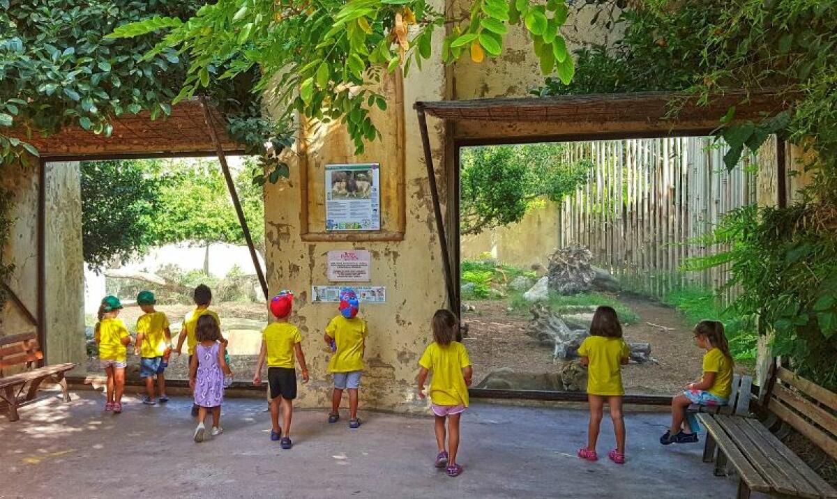 Terra Natura reactiva su Escuela de Verano