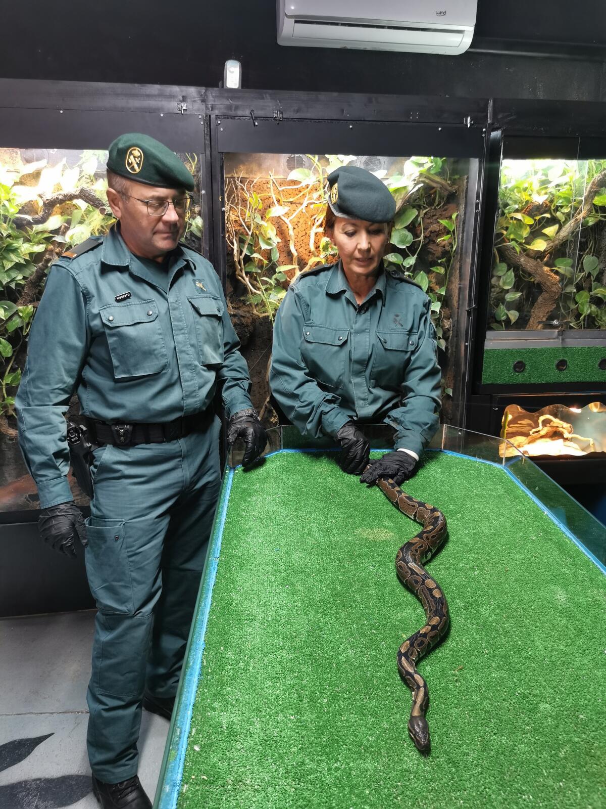 Terra Natura Benidorm se incorpora a la red de Centros de Rescate CITES para especies protegidas