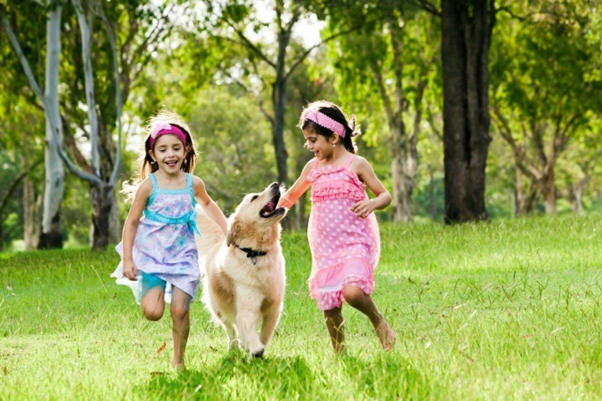 Crecer con animales fomenta la empat&iacute;a y las conductas prosociales en la infancia, habilidades clave para reducir el acoso escolar