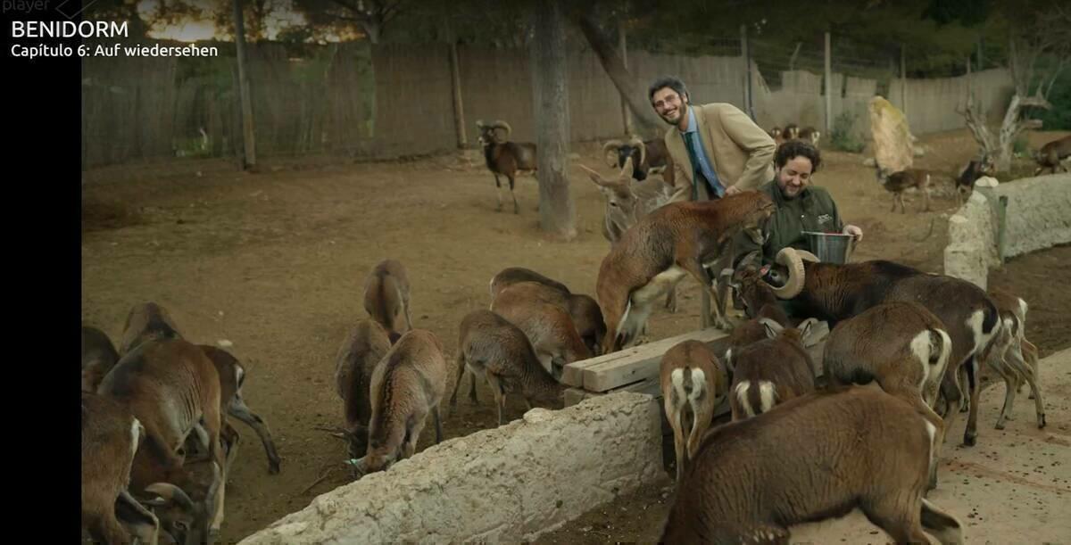  Los animales de Terra Natura, protagonistas del cap&iacute;tulo 6 de la serie &lsquo;Benidorm&rsquo; de Atresmedia.