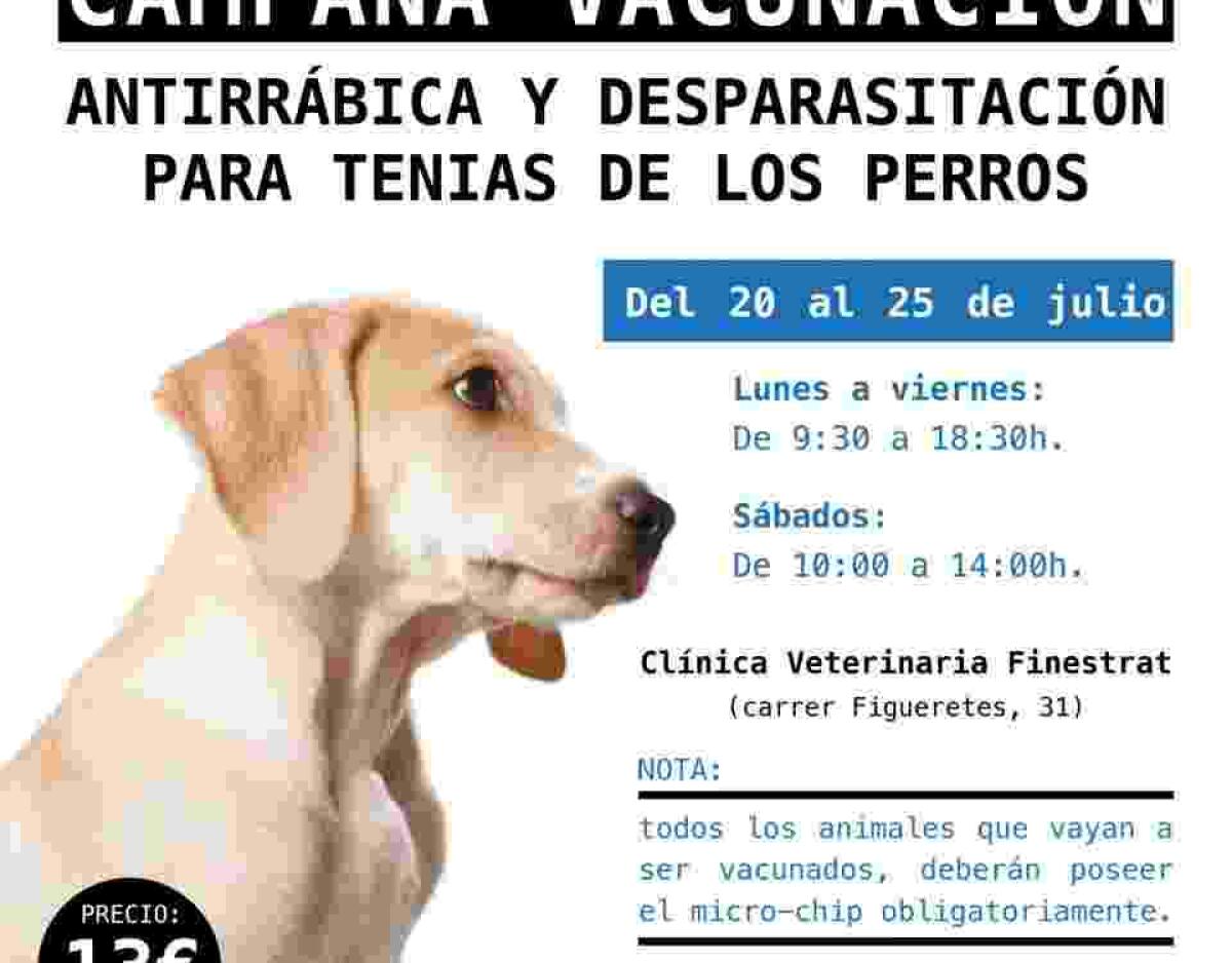 Finestrat celebra la campa&ntilde;a anual de vacunaci&oacute;n antirr&aacute;bica del 20 al 25 de Julio.