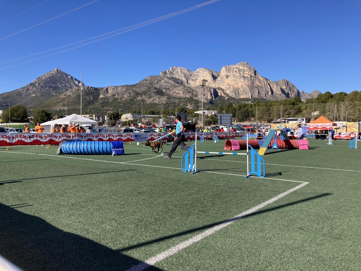 Los perros compitieron en “La Nucía, Ciudad del Deporte”