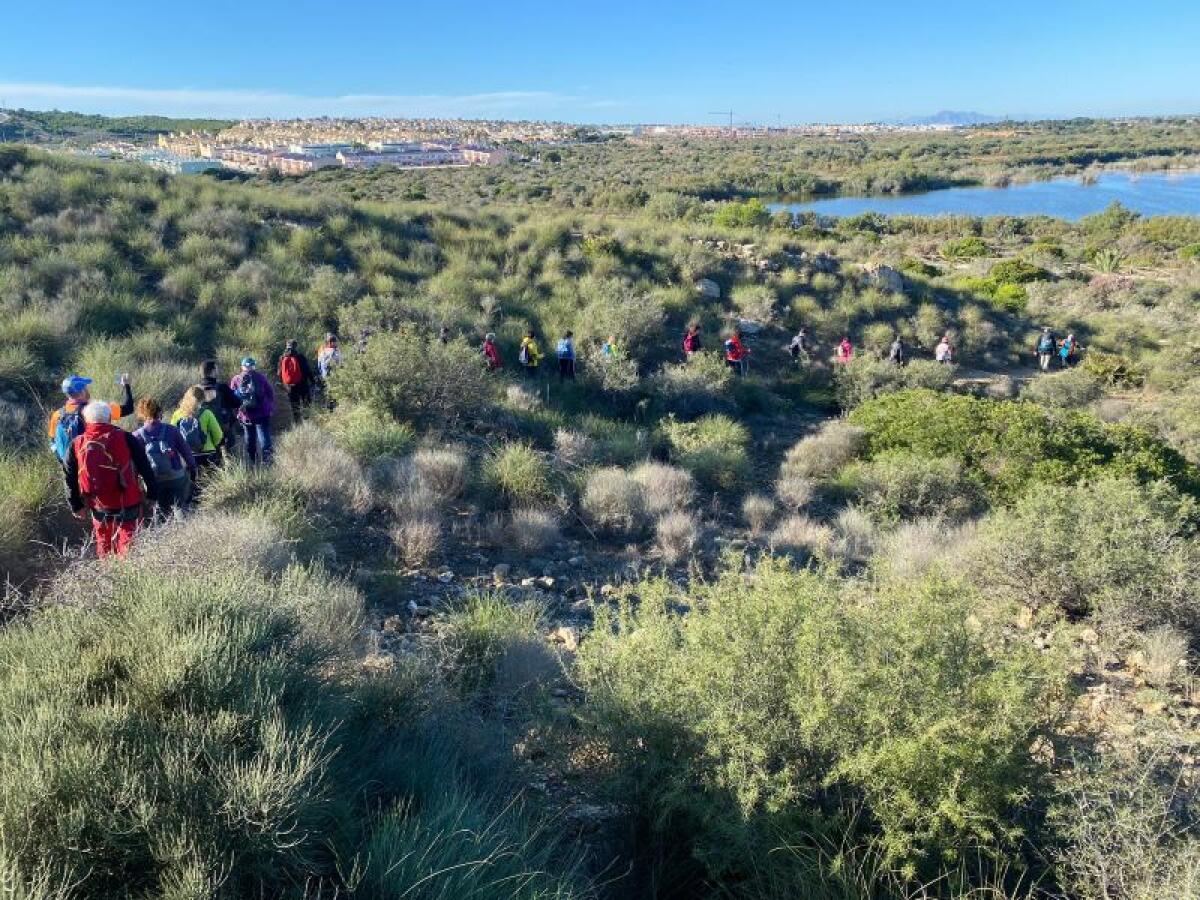 La Diputación destina 600.000 euros al control de la salubridad pública y el bienestar animal 