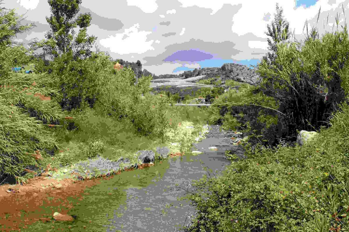 Callosa d’en Sarrià critica al alcalde de Benidorm por gestar un proyecto en el río Algar a espaldas de los riegos callosinos