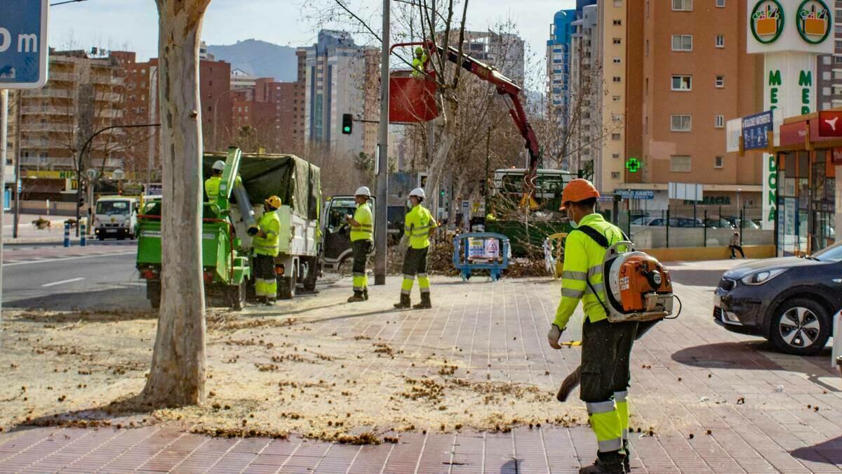 El PSOE exige que se licite ya el contrato de parques y jardines que lleva casi un año caducado