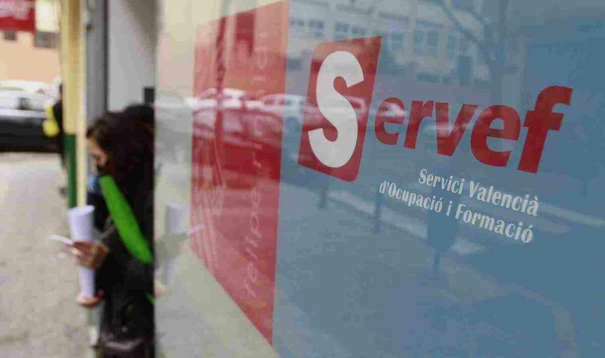 Benidorm &middot; Finalizan tres programas de fomento del empleo subvencionados por el Servef