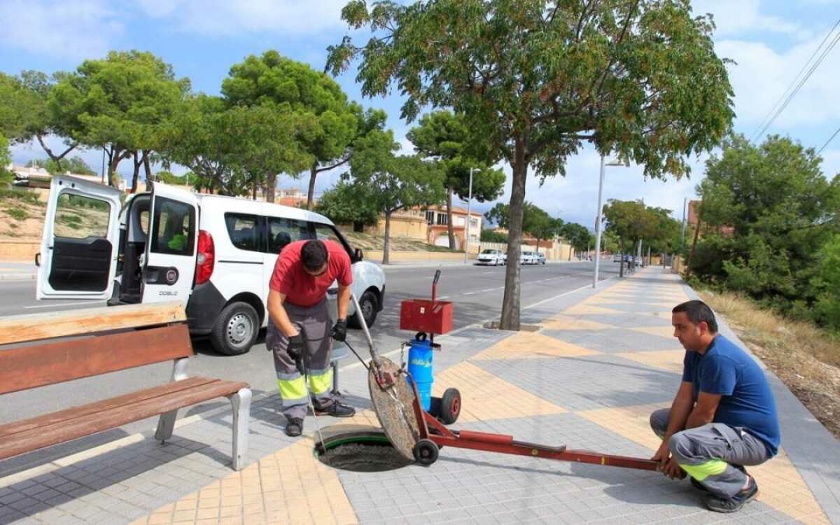 L&rsquo;Alf&agrave;s pone en marcha la 1&ordf; campa&ntilde;a de desinsectaci&oacute;n