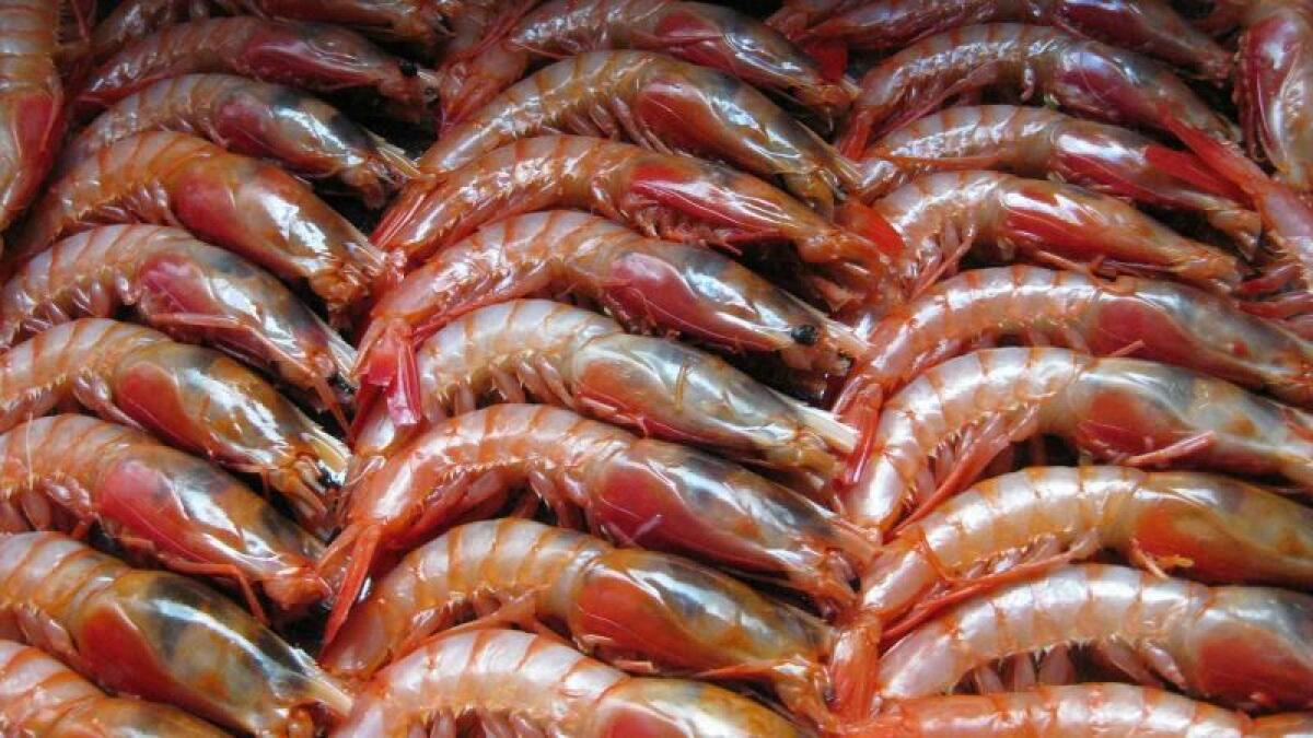 Así te la cuelan con los langostinos del súper: el engaño de las colas de 'gamba'