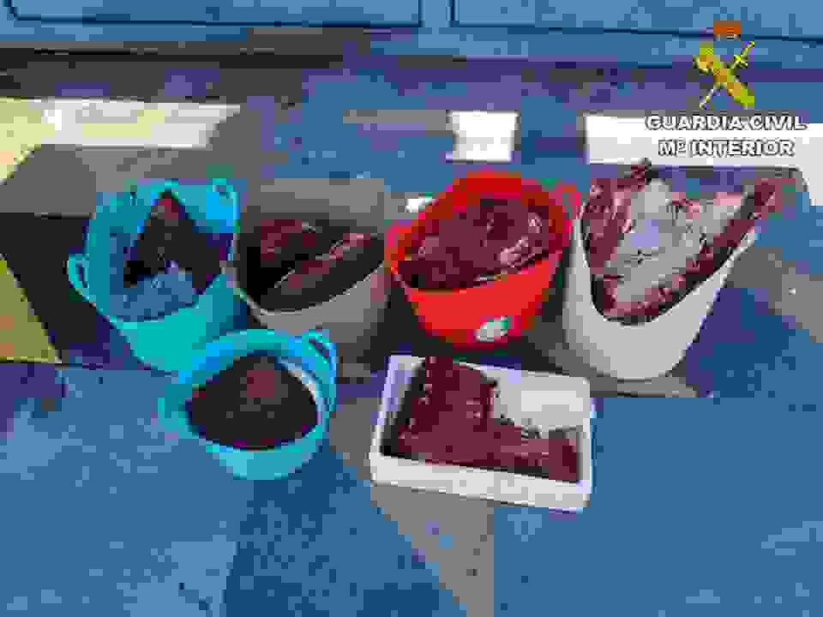 La Guardia Civil interviene casi una treintena de  jilgueros capturados, al parecer, de forma ilegal.