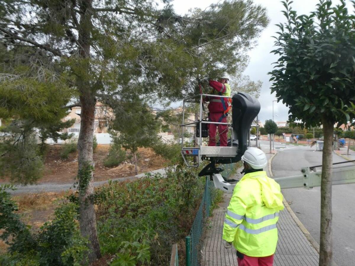 La Nucía inicia la “Campaña contra la Procesionaria del Pino 2023”