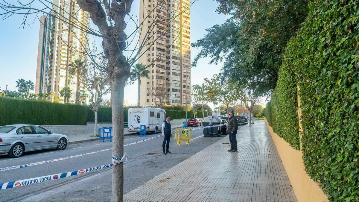 Benidorm sustituir&aacute; 250 &aacute;rboles da&ntilde;ados en Els Tolls y el Rinc&oacute;n de Loix