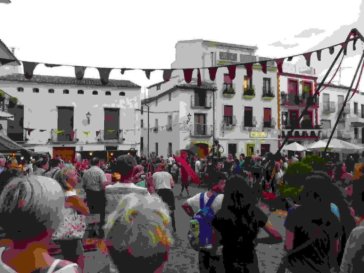 M&aacute;s de 10.000 personas visitaron   el XIII Mercado Medieval de La Nuc&iacute;a