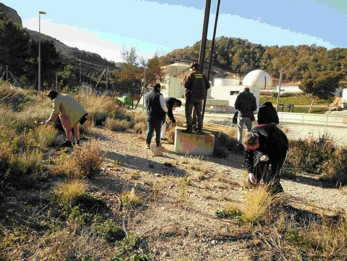  Benidorm · Usuarios del CEEM volverán a realizar este año labores de voluntariado ambiental