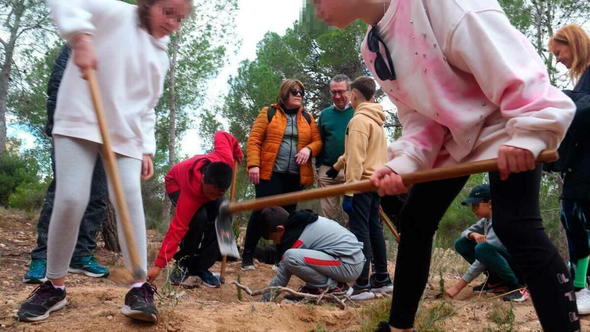 Un centenar de alumnos de Primaria reforestan un espacio de El Moralet con árboles y plantas mediterráneas 