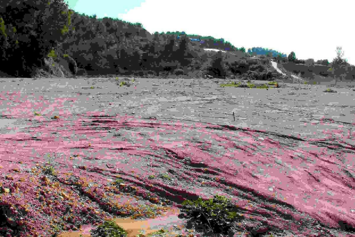 Callosa &middot; El Ayuntamiento adquiere un terreno aleda&ntilde;o a Les Fonts d&rsquo;Algar para mejorar los servicios del paraje en temporada alta