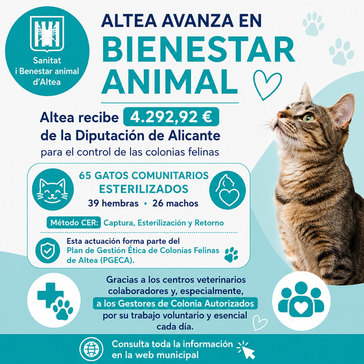 Altea recibe 4.292,92 euros de la Diputaci&oacute;n de Alicante para el control de las colonias felinas