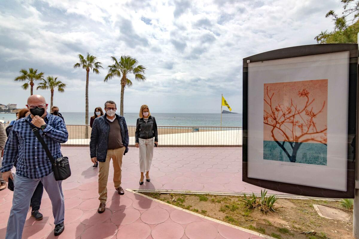 Benidorm exhibe tres series fotográficas del alicantino José Carlos Bernabeu