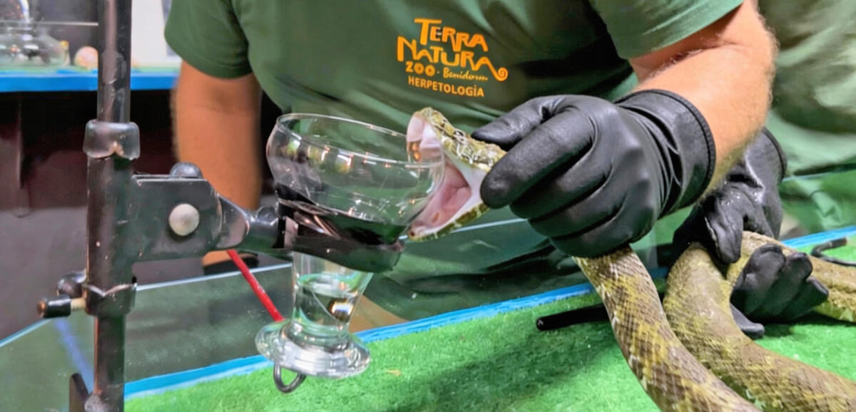 Terra Natura Benidorm participa en una formaci&oacute;n especializada sobre liofilizaci&oacute;n de venenos en el Instituto de Ven&oacute;mica Evolutiva y Traslacional (IBV-CSIC)