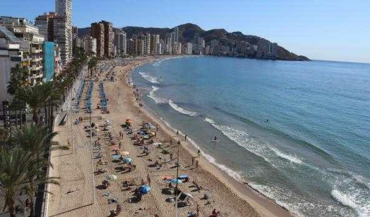 Ciudadanos pide reducir las hamacas en Levante este verano para disponer de más parcelas gratuitas y evitar reservas telem