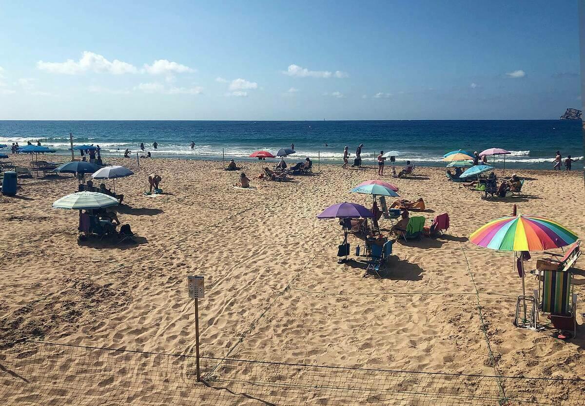 Ciudadanos propone descuentos en las hamacas para empadronados y fraccionar mejor las reserva de las playas de Benidorm