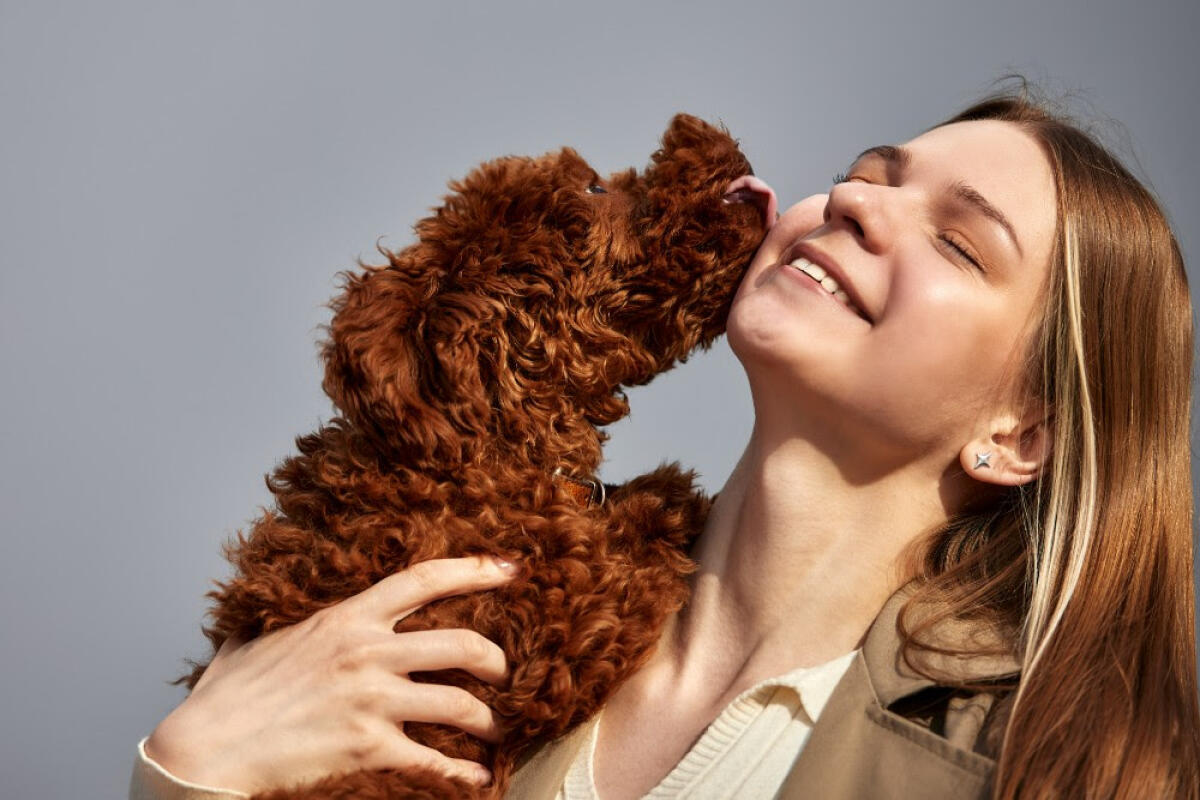 Las mascotas, el gran amor de los españoles en San Valentín