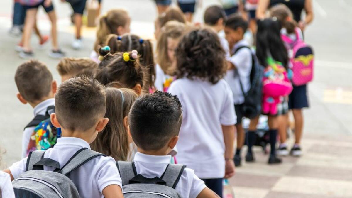 La ayuda municipal para la compra de material escolar llega a más de un millar de alumnos de 2º ciclo de Educación Infantil