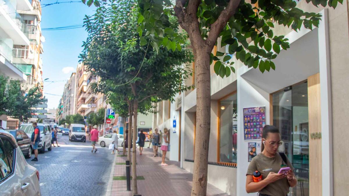 Benidorm invertirá 1,9 millones en 13 actuaciones subvencionadas por la Fundación Biodiversidad 