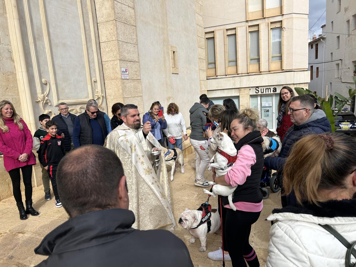 La “Bendición de Animales de Sant Antoni” será en la Capelleta este domingo 