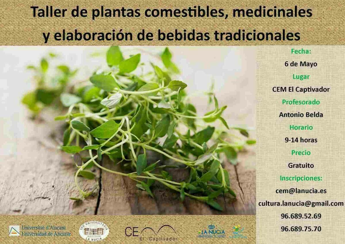 Taller gratuito de Plantas Medicinales en el CEM este s&aacute;bado