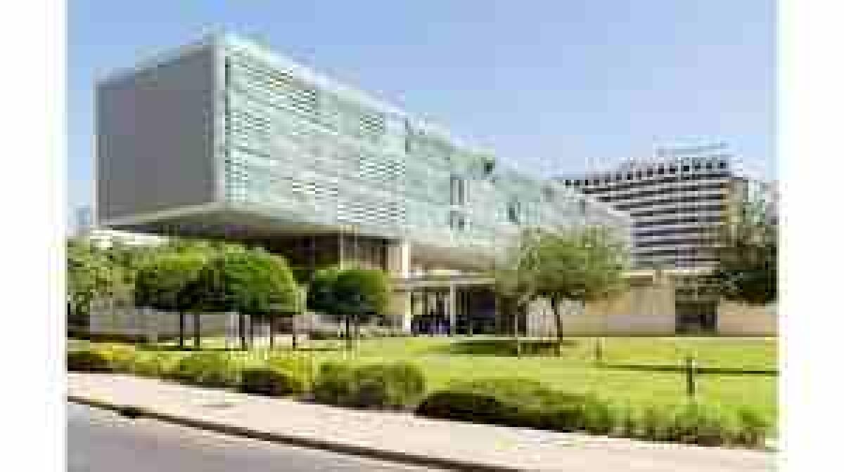 Los colegios p&uacute;blicos y concertado de Benidorm reciben 388 solicitudes de plaza para Infantil de 3 a&ntilde;os.
