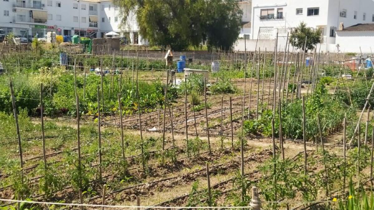 Agricultura entrega una nova desena d'horts urbans ecològics