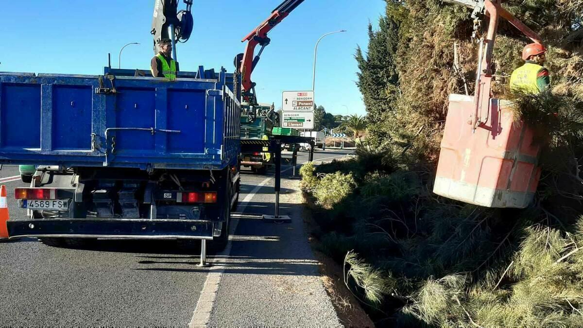 Cortado el acceso de la N-332 a Levante desde l’Alfàs del Pi y Altea por trabajos de poda de la Unidad de Carreteras