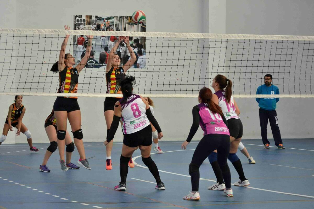 El Club Voleibol Finestrat logra 5 victorias en la &uacute;ltima jornada de liga