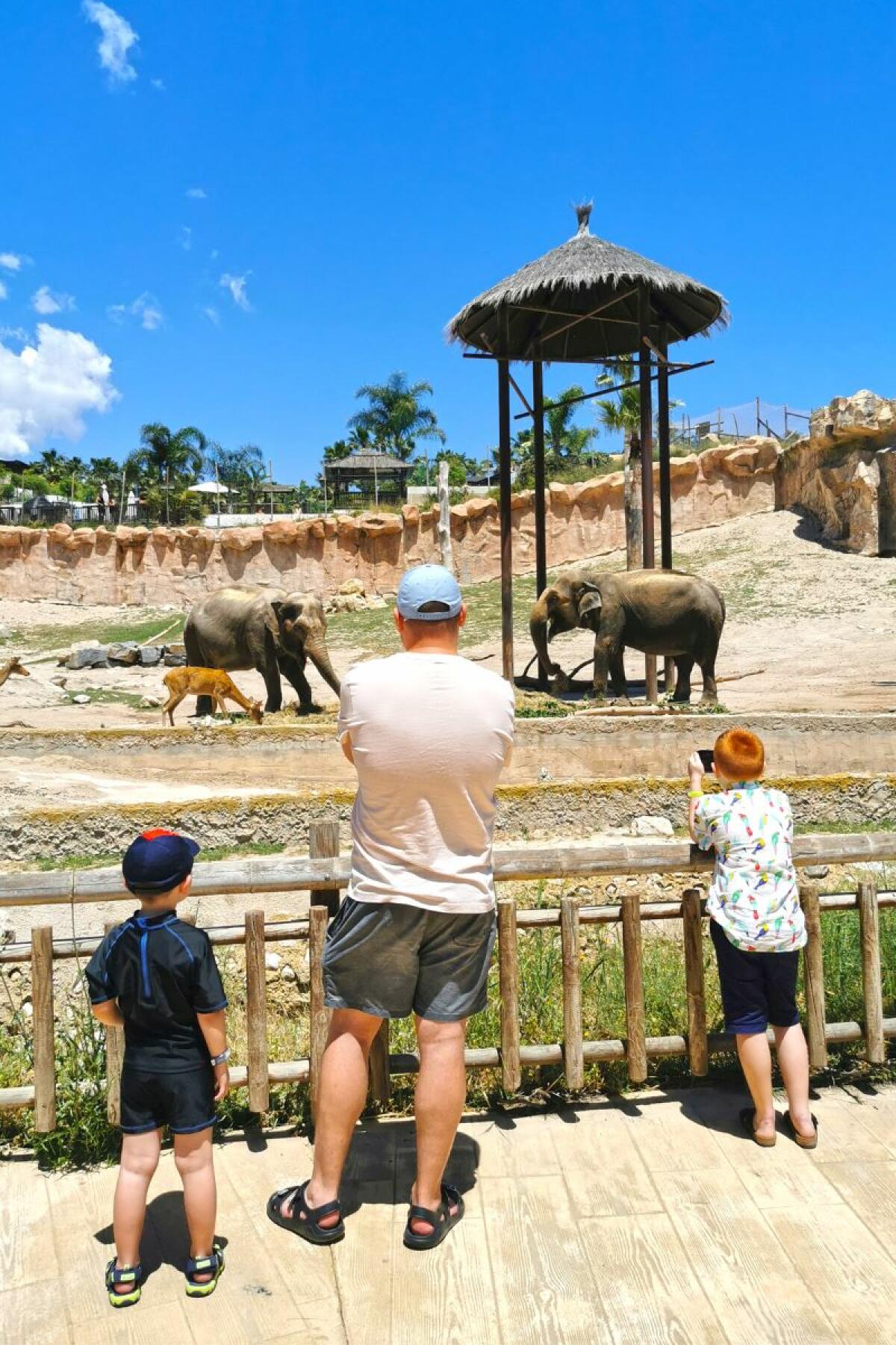 Terra Natura Benidorm lanza su nueva campaña con la mirada puesta en la biodiversidad 